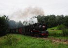 2020.08.05 JHMD U46.101 Jindřichův Hradec - Nová Bystřice (5)